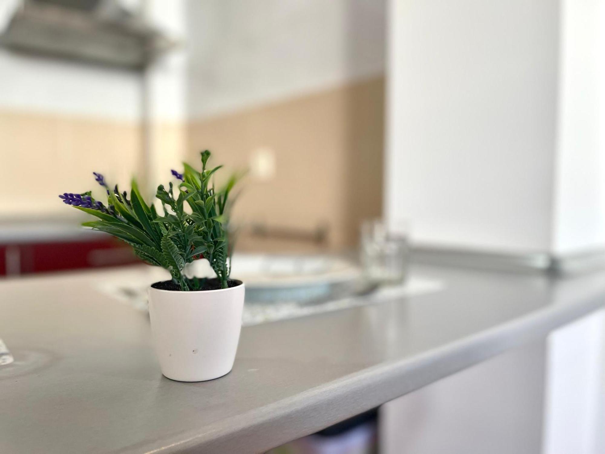 Apartament El Alma De Miraflores